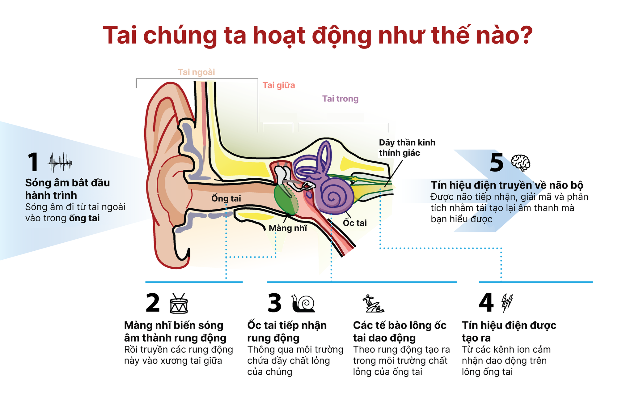 Tết hát karaoke quá 1 tiếng/ngày có thể khiến cả nhà bị tòe lông ốc tai, hiện chưa có thuốc chữa- Ảnh 7.