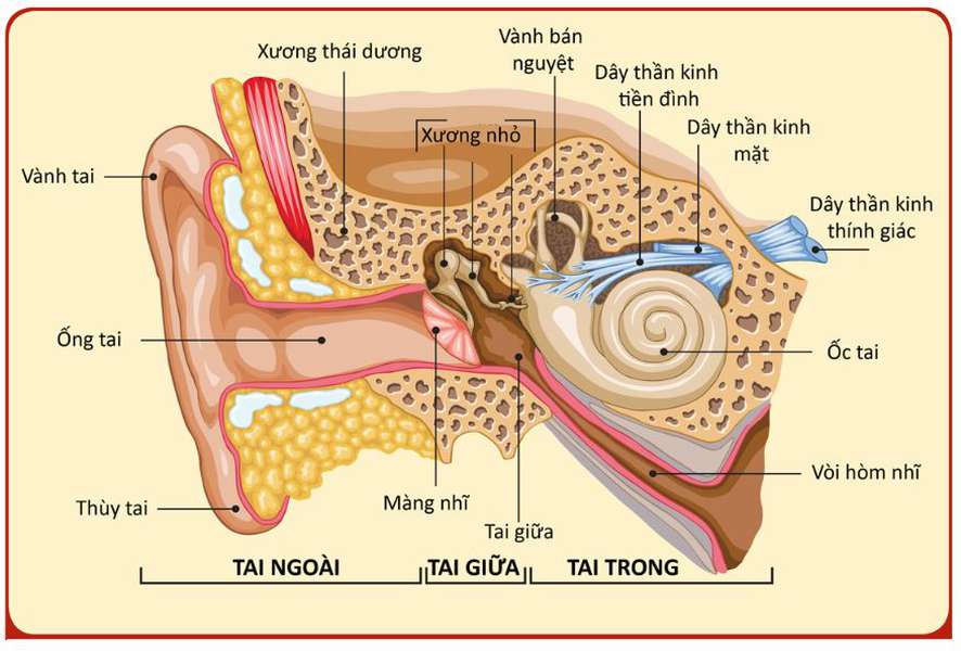 Tết hát karaoke quá 1 tiếng/ngày có thể khiến cả nhà bị tòe lông ốc tai, hiện chưa có thuốc chữa- Ảnh 5.