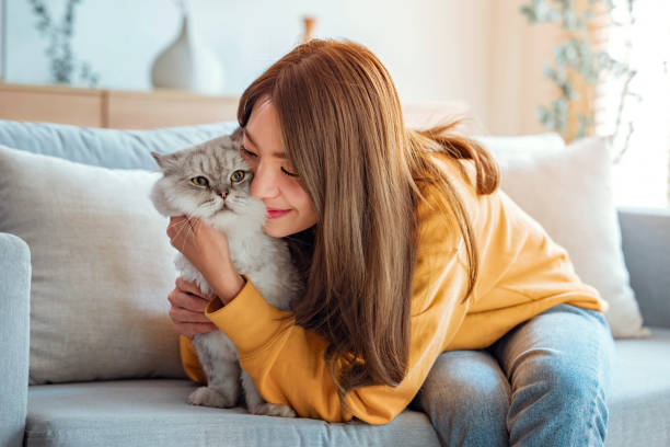 Bí ẩn: Người nuôi mèo có nguy cơ mắc bệnh tâm thần cao gấp đôi người bình thường?- Ảnh 1.