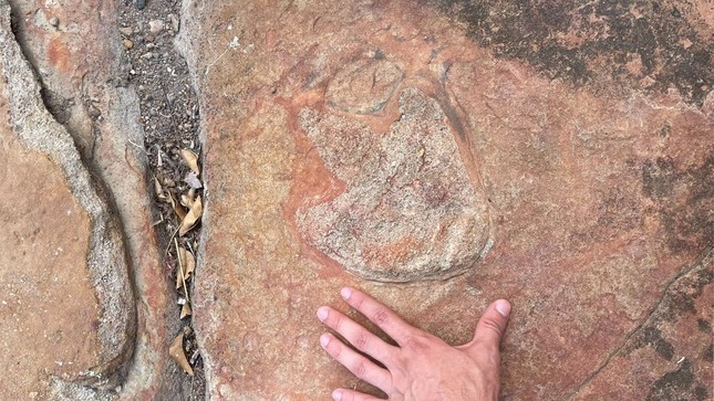 Phát hiện tác phẩm nghệ thuật 9.000 năm tuổi bên cạnh dấu chân khủng long- Ảnh 2.