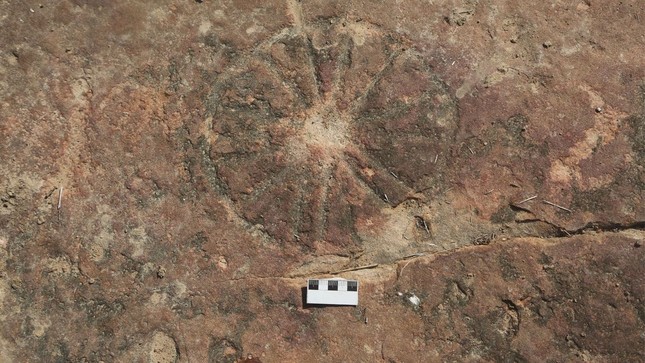 Phát hiện tác phẩm nghệ thuật 9.000 năm tuổi bên cạnh dấu chân khủng long- Ảnh 1.