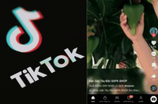 Hết bị “đăng xuất” Facebook, netizen than trời vì TikTok chập chờn- Ảnh 1.