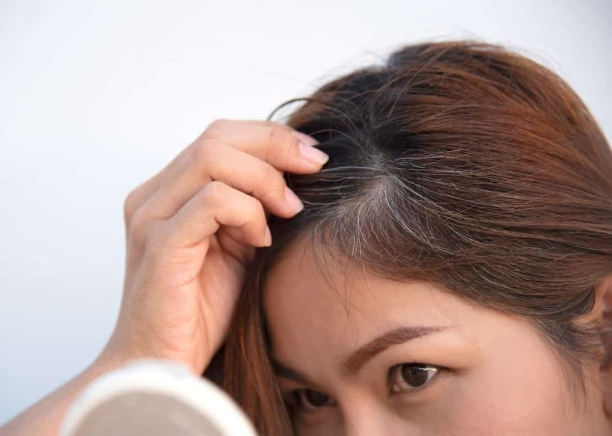Nghiên cứu của ĐH Harvard làm rõ mối quan hệ giữa tóc bạc và bệnh ung thư: Thực hư ra sao?- Ảnh 1.