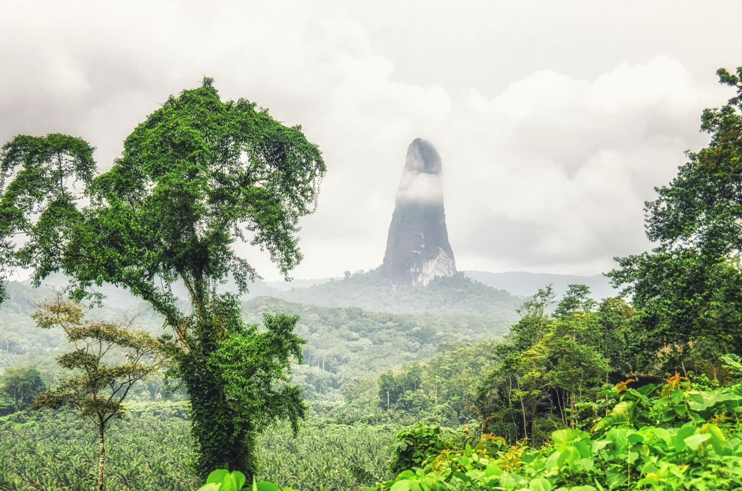 Pico Cão Grande: Nón núi lửa hình kim gần như không thể leo lên- Ảnh 1.