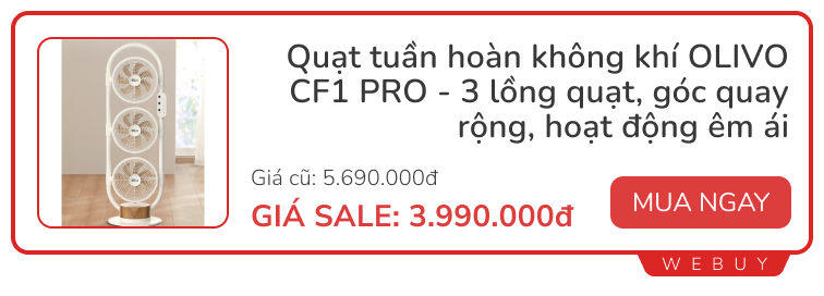 Quạt 3 đầu có gì hay mà giá vài triệu, nhìn thôi cũng thấy tò mò- Ảnh 8.