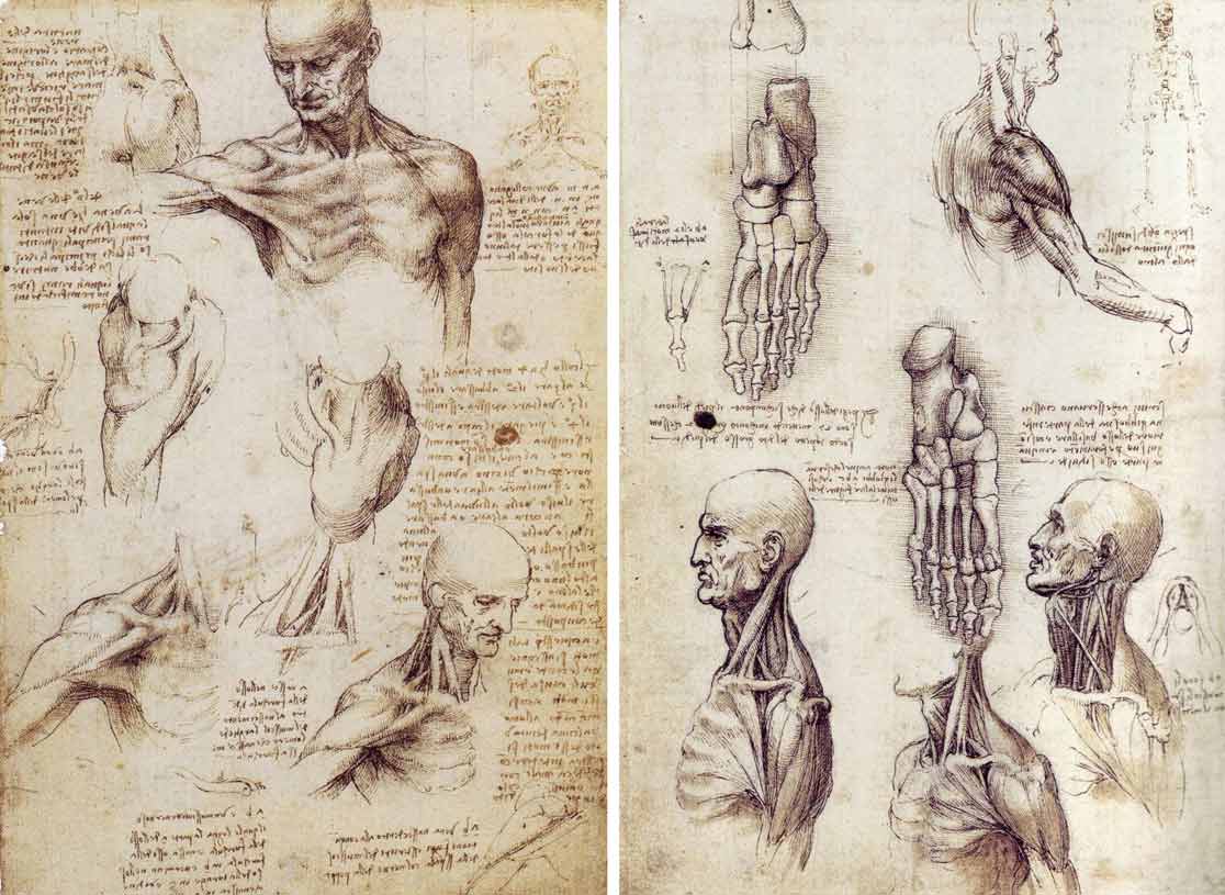 Tại sao một số người luôn nghĩ rằng Leonardo da Vinci là người du hành thời gian hoặc người ngoài hành tinh?- Ảnh 3.