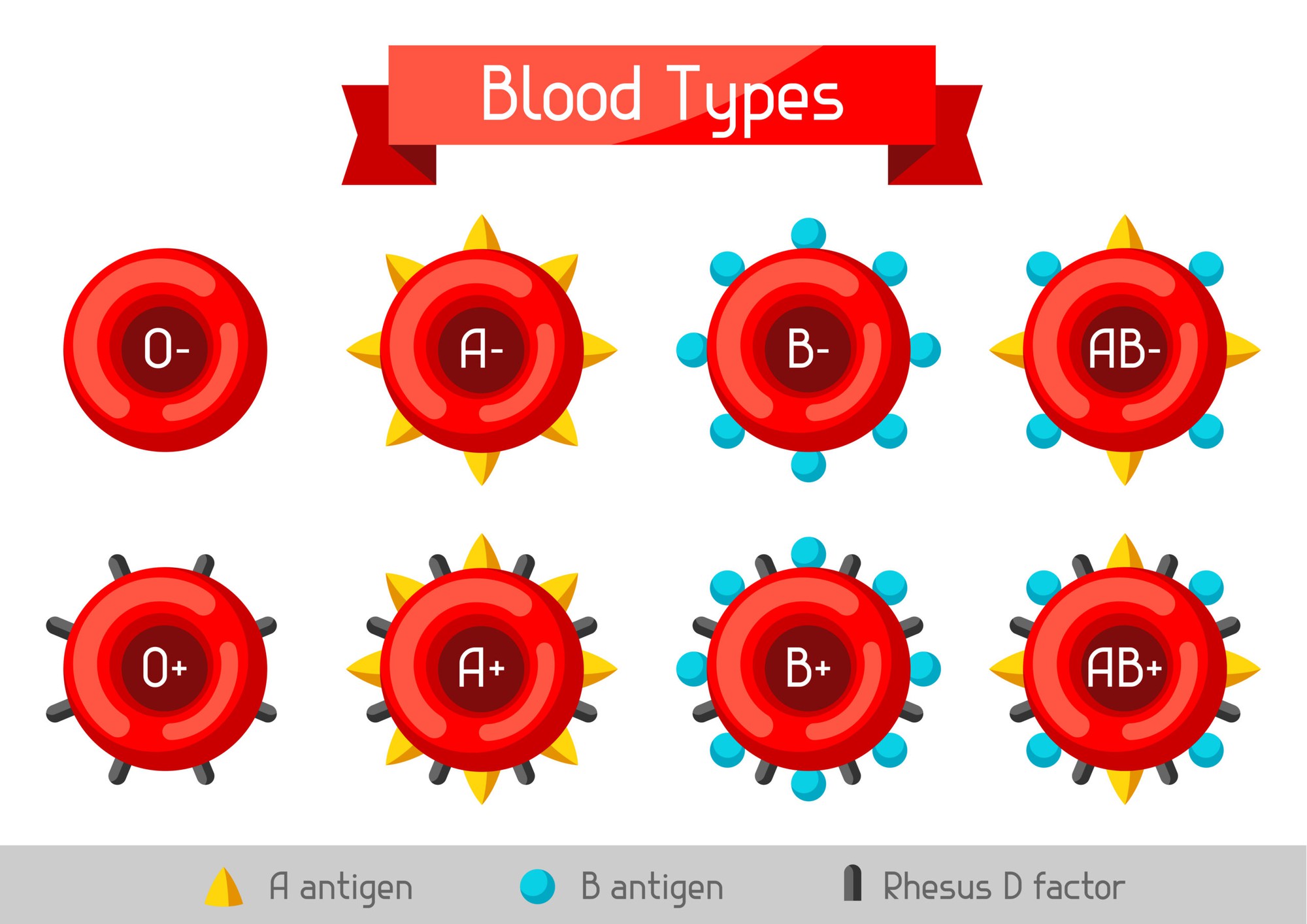 Biến máu nhóm A, B thành máu nhóm O: Tại sao đột phá này xứng đáng một Giải Nobel Y học?- Ảnh 7.