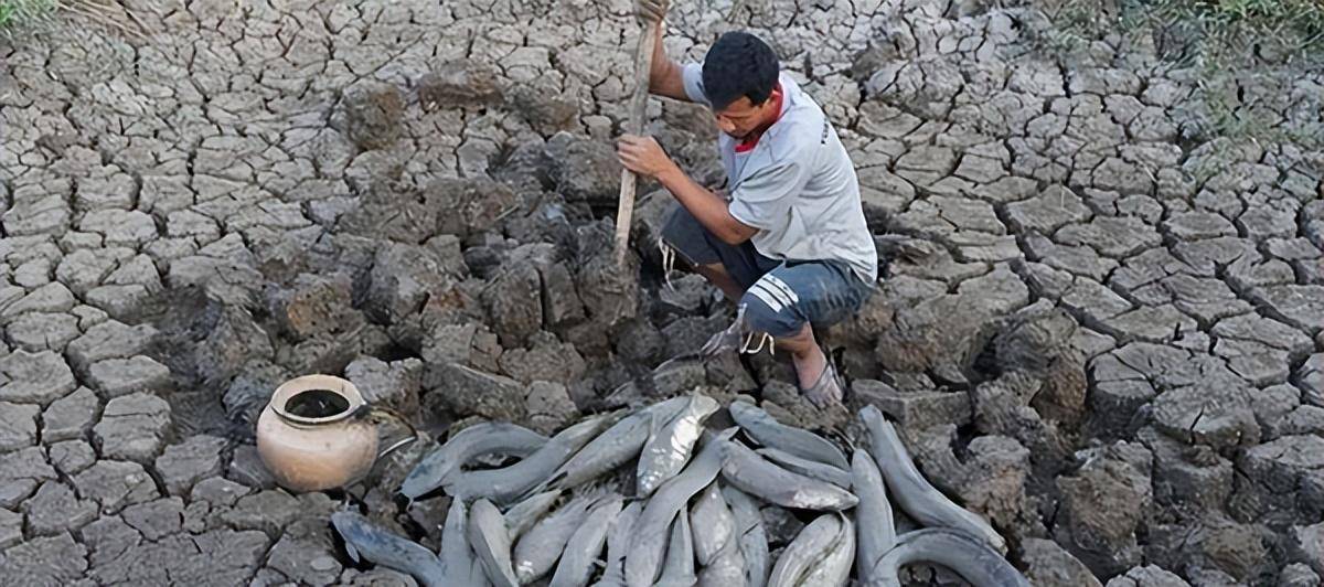 Loài cá kỳ lạ nhất châu Phi: Ẩn mình dưới lòng đất nhiều năm không cần ăn uống nhưng vẫn không thể thoát khỏi bàn tay của con người- Ảnh 5.