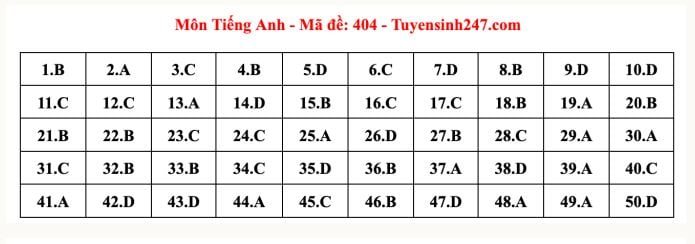 ĐÃ CÓ đề thi và gợi ý đáp án môn Tiếng Anh tốt nghiệp THPT 2024- Ảnh 2.