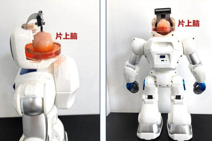 robot-gan-nao-lam-tu-nguoi-01-08260209-1719747139769-17197471416971058227122.png