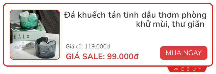 Món đồ có giá chỉ từ 15.000 đồng giúp bạn thoát khỏi nỗi ám ảnh nhà có mùi dù dọn dẹp suốt ngày- Ảnh 9.