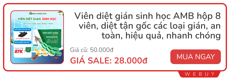 Giải quyết nỗi ám ảnh loại gián 