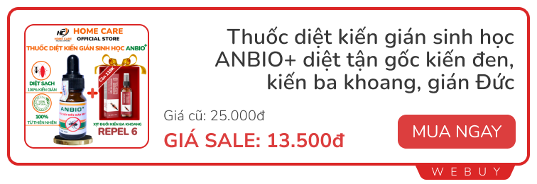 Giải quyết nỗi ám ảnh loại gián 