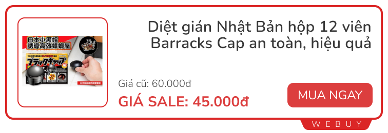 Giải quyết nỗi ám ảnh loại gián 