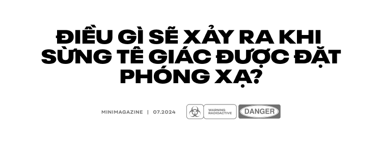 Nam Phi đặt chất phóng xạ vào sừng tê giác: Lời cảnh tỉnh cho các thị trường tiêu thụ bột sừng như Việt Nam- Ảnh 13.