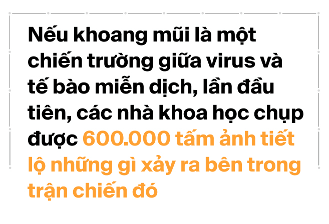 Thí nghiệm lịch sử với COVID: 36 người được trả hơn 5 tỷ đồng để nhỏ virus có độc lực vào mũi. Nếu là bạn, bạn có dám thử không?- Ảnh 4.