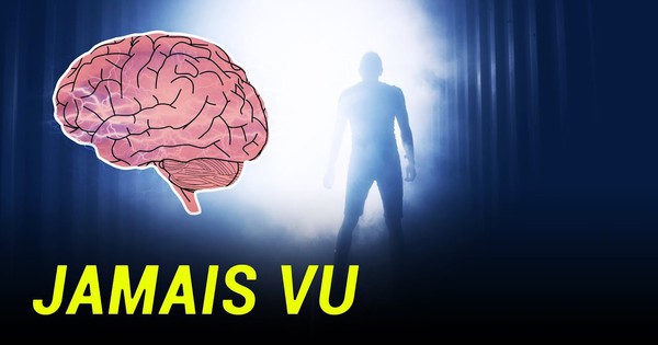 Hiện tượng đối nghịch với Déjà vu: Jamais vu là gì? Tại sao chúng ta phải cảnh giác với nó?- Ảnh 1.