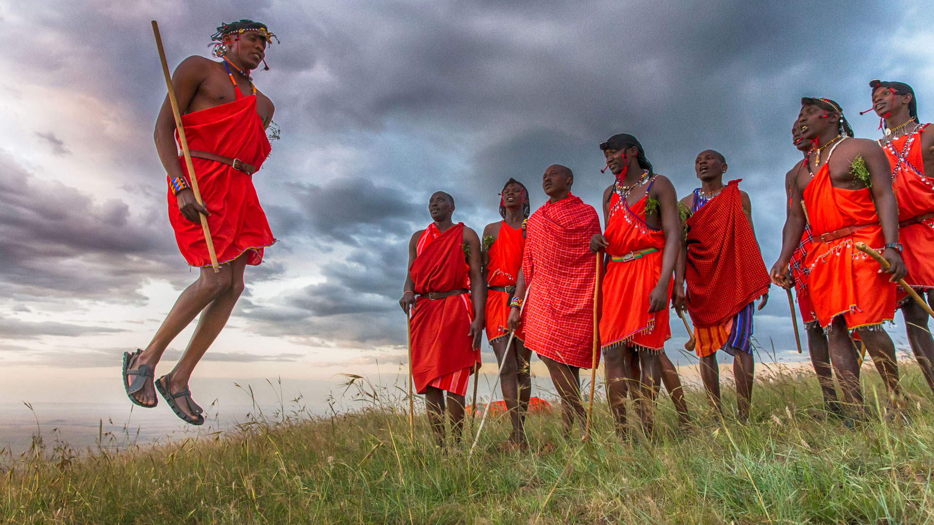 Sư tử thậm chí còn không sợ voi, vậy tại sao chúng lại sợ người Maasai? - Ảnh 2.