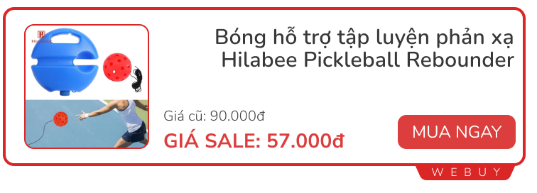 Đây là những điều cơ bản cần biết và món đồ cần sắm để bắt đầu 