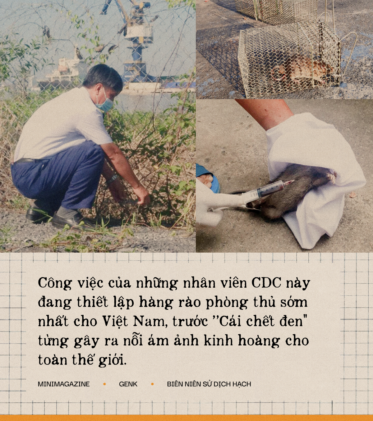 Một biên niên sử về dịch hạch tại Việt Nam và Một biên niên sử về dịch hạch tại Việt Nam và