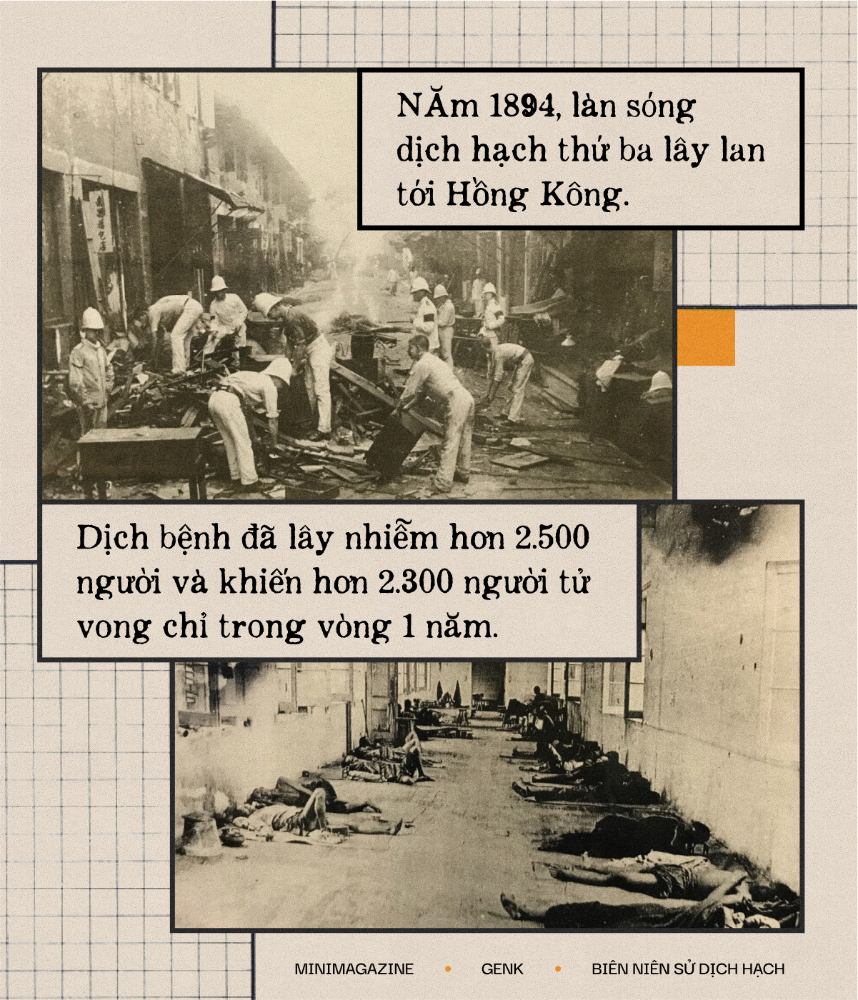 Một biên niên sử về dịch hạch tại Việt Nam và Một biên niên sử về dịch hạch tại Việt Nam và
