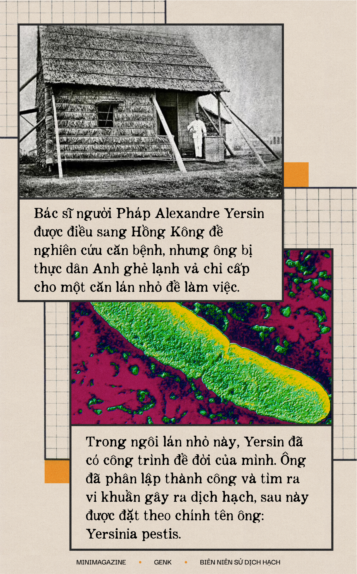 Một biên niên sử về dịch hạch tại Việt Nam và Một biên niên sử về dịch hạch tại Việt Nam và