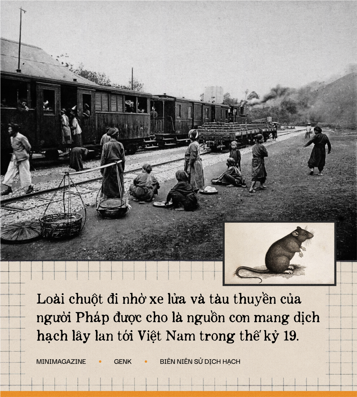 Một biên niên sử về dịch hạch tại Việt Nam và Một biên niên sử về dịch hạch tại Việt Nam và