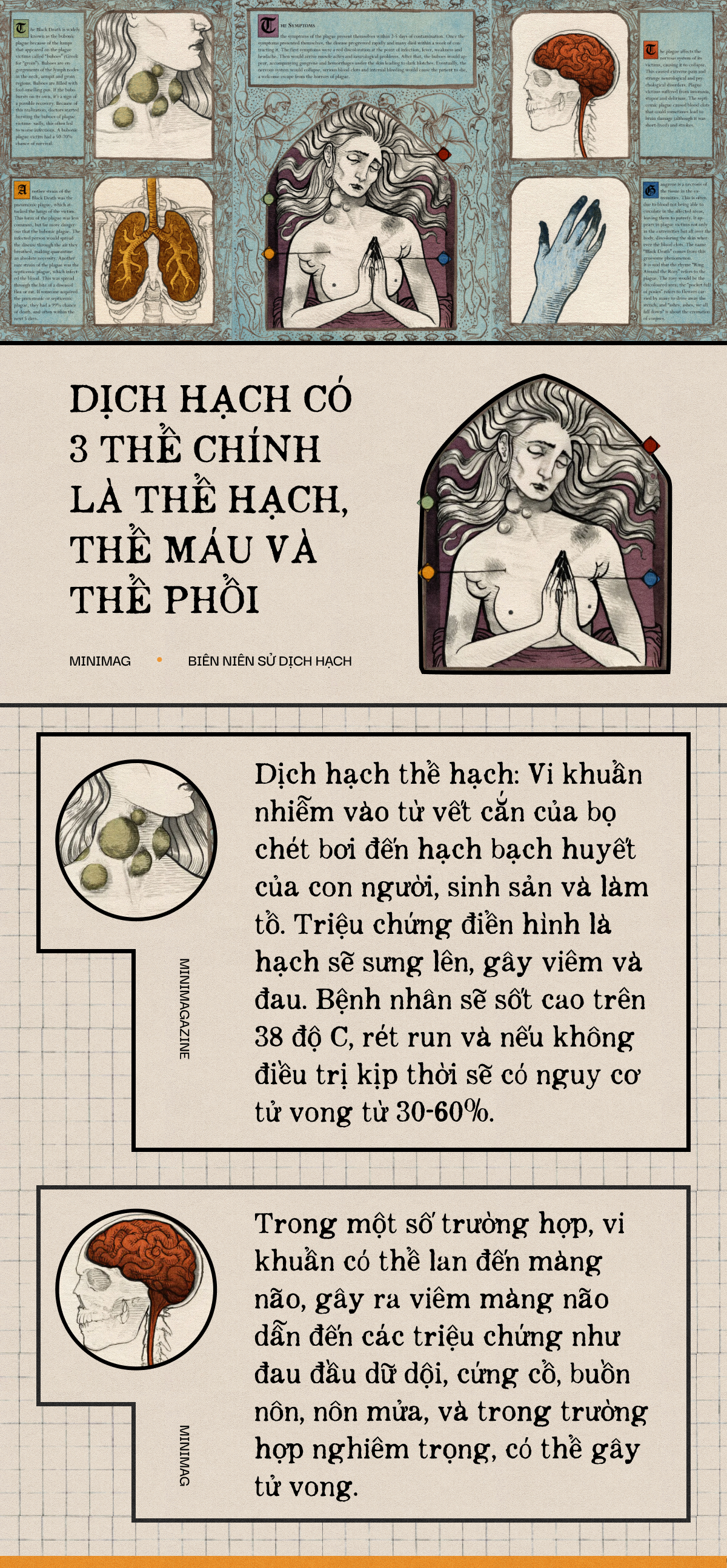Một biên niên sử về dịch hạch tại Việt Nam và Một biên niên sử về dịch hạch tại Việt Nam và
