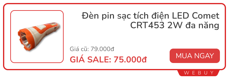 Bếp gas mini, quạt, đèn pin tích điện 