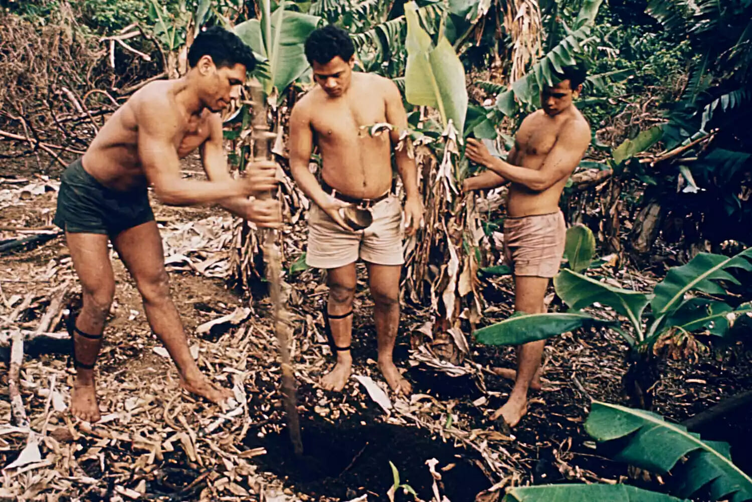 Câu chuyện đáng kinh ngạc về Castaways Tonga: Làm thế nào sáu thanh thiếu niên sống sót sau 15 tháng trên một hòn đảo hoang vắng?- Ảnh 4.