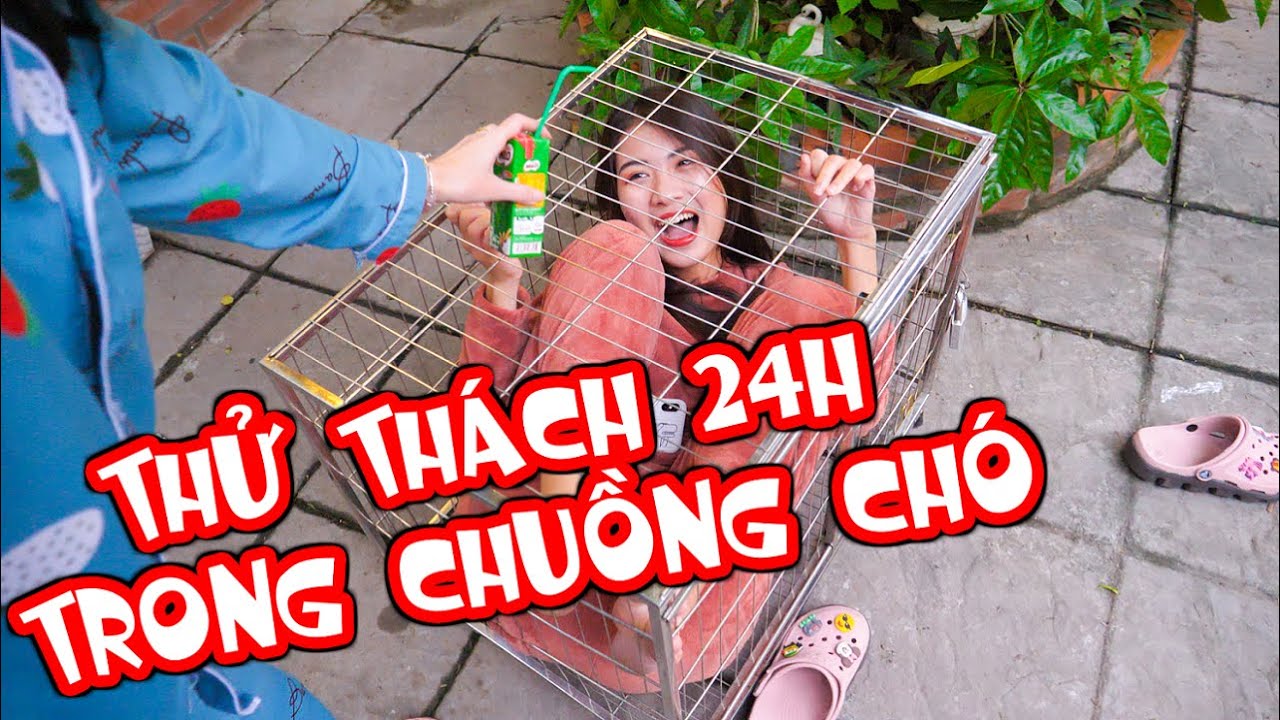 Một nhà triết học đã dành 30 năm để trả lời câu hỏi: Liệu sống như một chú chó thì có đáng sống không?- Ảnh 1.