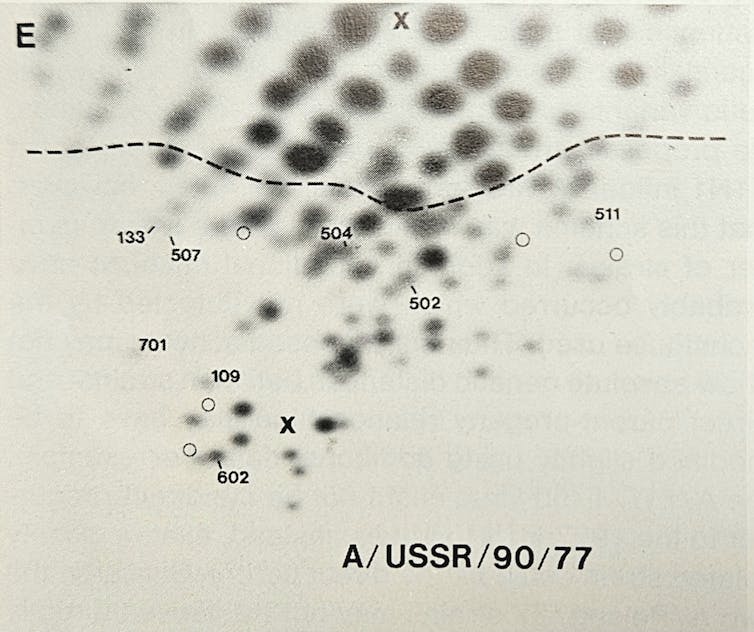 Bí ẩn Cúm Nga năm 1977: Một đại dịch tự ứng nghiệm từ “lỗ hổng không-thời gian” trong Chiến tranh Lạnh- Ảnh 7.