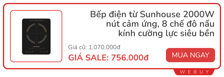 Sale siêu rẻ dịp 9/9: Máy lọc không khí LG giảm 75%, tăm nước Lock&Lock giảm nửa giá, bếp từ Sunhouse từ 756.000đ...- Ảnh 1.