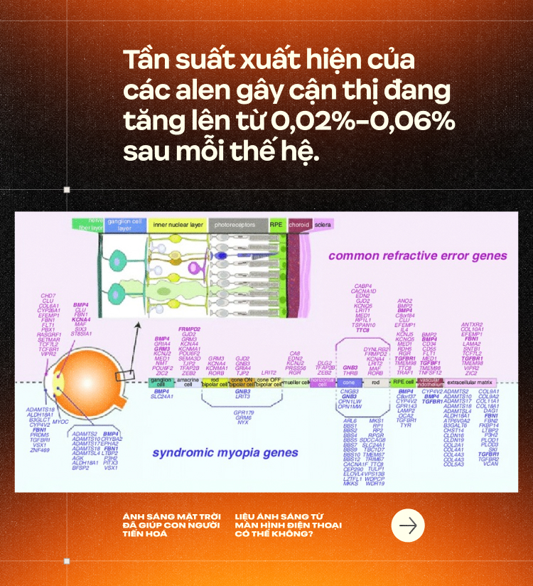 Ánh sáng Mặt Trời đã giúp con người tiến hoá, liệu ánh sáng từ màn hình điện thoại có thể không? (Kỳ 2)- Ảnh 18.