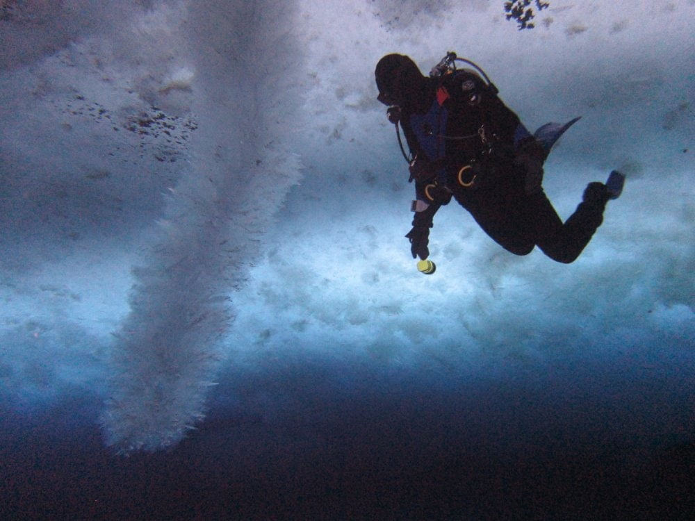 Ice Finger of Death: Hiện tượng kỳ lạ dưới băng biển Nam Cực lần đầu tiên được ghi lại- Ảnh 2.