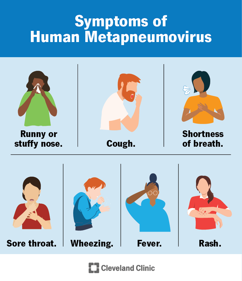 WHO chính thức lên tiếng về tình hình bùng phát virus MHPV ở Trung Quốc- Ảnh 4.