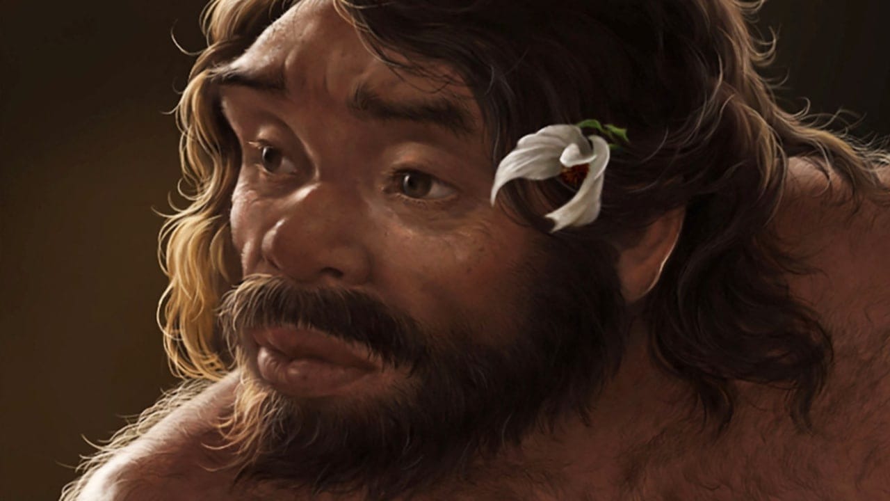Hộp sọ 1 triệu năm tuổi hé lộ manh mối về nguồn gốc của người Neanderthal, người Denisova và cả con người- Ảnh 3.