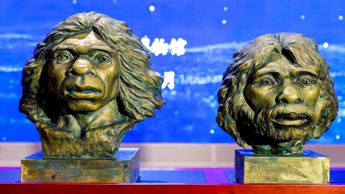 Hộp sọ 1 triệu năm tuổi hé lộ manh mối về nguồn gốc của người Neanderthal, người Denisova và cả con người- Ảnh 4.