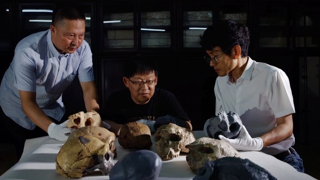 Hộp sọ 1 triệu năm tuổi hé lộ manh mối về nguồn gốc của người Neanderthal, người Denisova và cả con người- Ảnh 2.