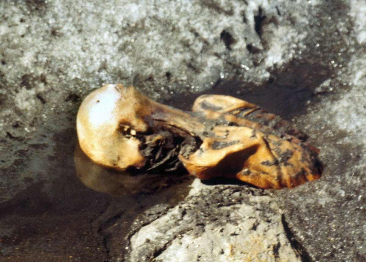 Người băng Ötzi: Sự thật mới hé lộ bí ẩn 5.000 năm về cái chết của người đàn ông bị chôn vùi trong băng- Ảnh 1. Người băng Ötzi: Sự thật mới hé lộ bí ẩn 5.000 năm về cái chết của người đàn ông bị chôn vùi trong băng- Ảnh 1.
