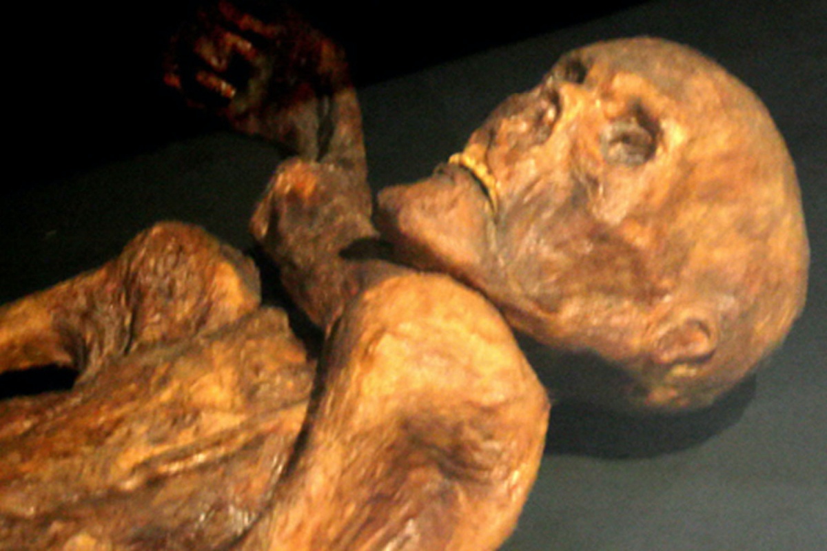 Người băng Ötzi: Sự thật mới hé lộ bí ẩn 5.000 năm về cái chết của người đàn ông bị chôn vùi trong băng- Ảnh 3. Người băng Ötzi: Sự thật mới hé lộ bí ẩn 5.000 năm về cái chết của người đàn ông bị chôn vùi trong băng- Ảnh 3.