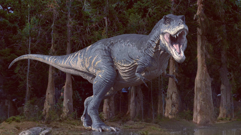 Huyết sắc tố của khủng long bạo chúa Tyrannosaurus rex được xác nhận sau hàng chục triệu năm, liệu nó có thể được hồi sinh?- Ảnh 1. Huyết sắc tố của khủng long bạo chúa Tyrannosaurus rex được xác nhận sau hàng chục triệu năm, liệu nó có thể được hồi sinh?- Ảnh 1.