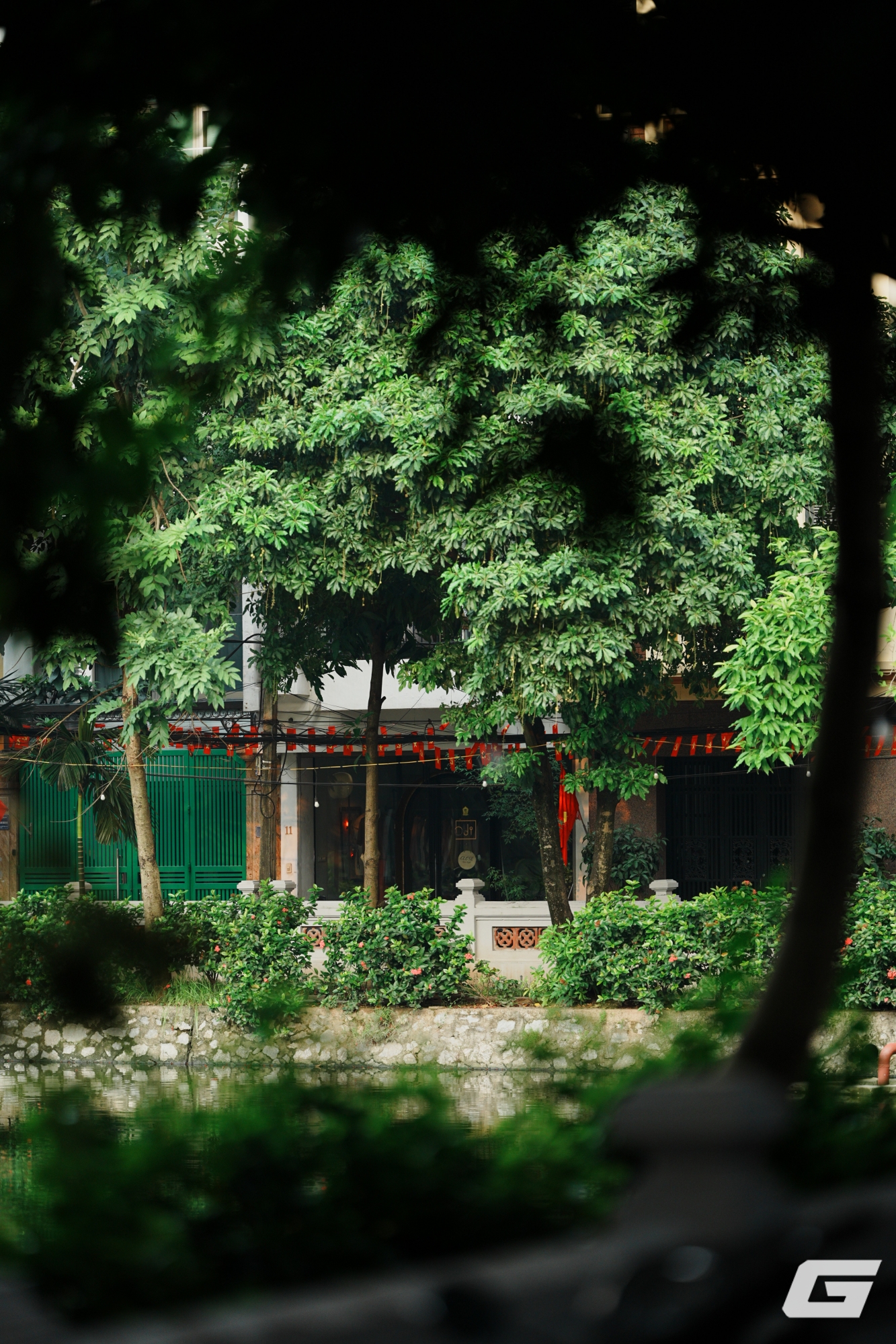 1 tuần chụp ảnh bằng Sigma 135mm f/1.4 DG Art: Tôi không biết phải chê gì- Ảnh 12.