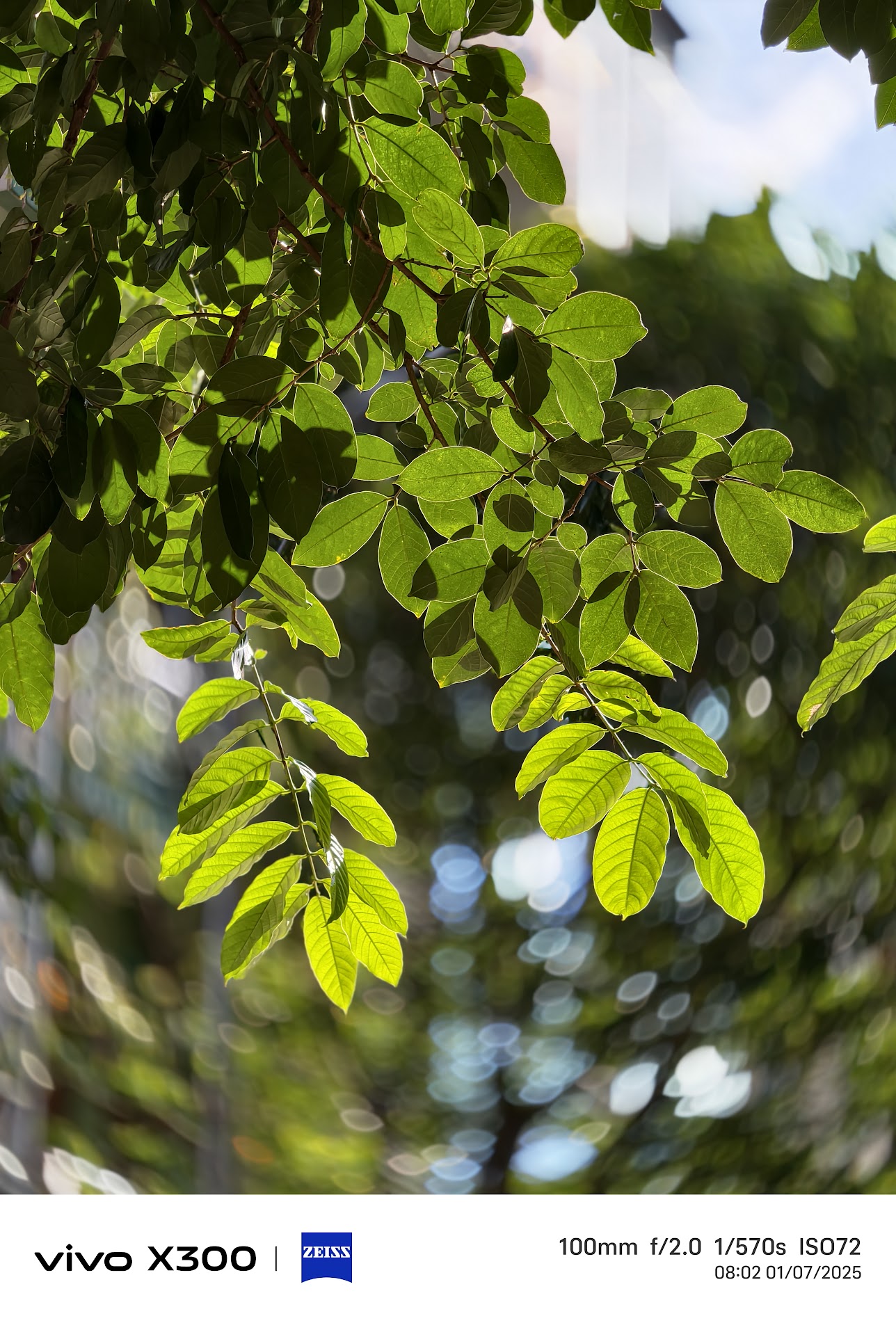 Điện Thoại Flagship Nhỏ Gọn Chụp Ảnh Đẹp Nhất- Ảnh 7. Điện Thoại Flagship Nhỏ Gọn Chụp Ảnh Đẹp Nhất- Ảnh 7.