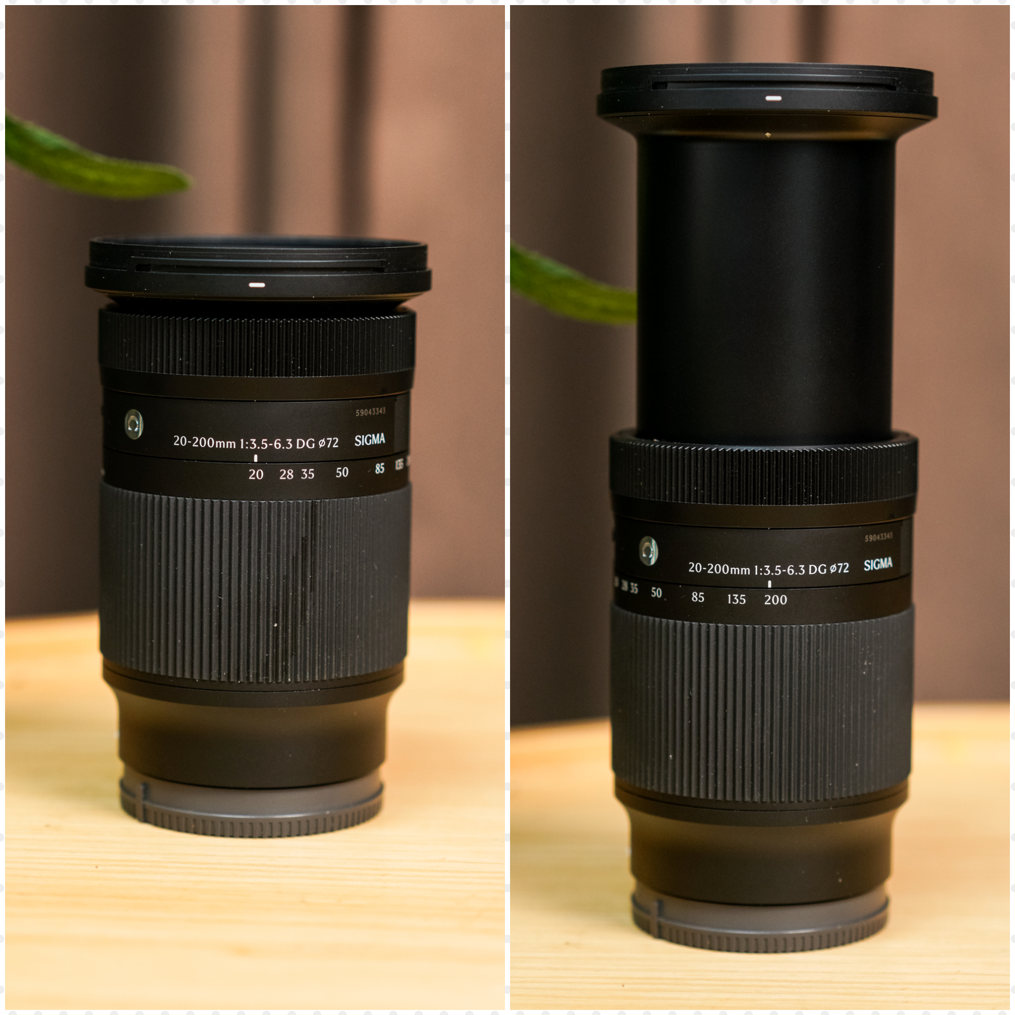 Trải nghiệm chụp sự kiện với ống kính Sigma 20 - 200mm f/3.5-6.3 DG DN Comtemporary: Đa năng mà không cần vác nặng- Ảnh 3. Trải nghiệm chụp sự kiện với ống kính Sigma 20 - 200mm f/3.5-6.3 DG DN Comtemporary: Đa năng mà không cần vác nặng- Ảnh 3.