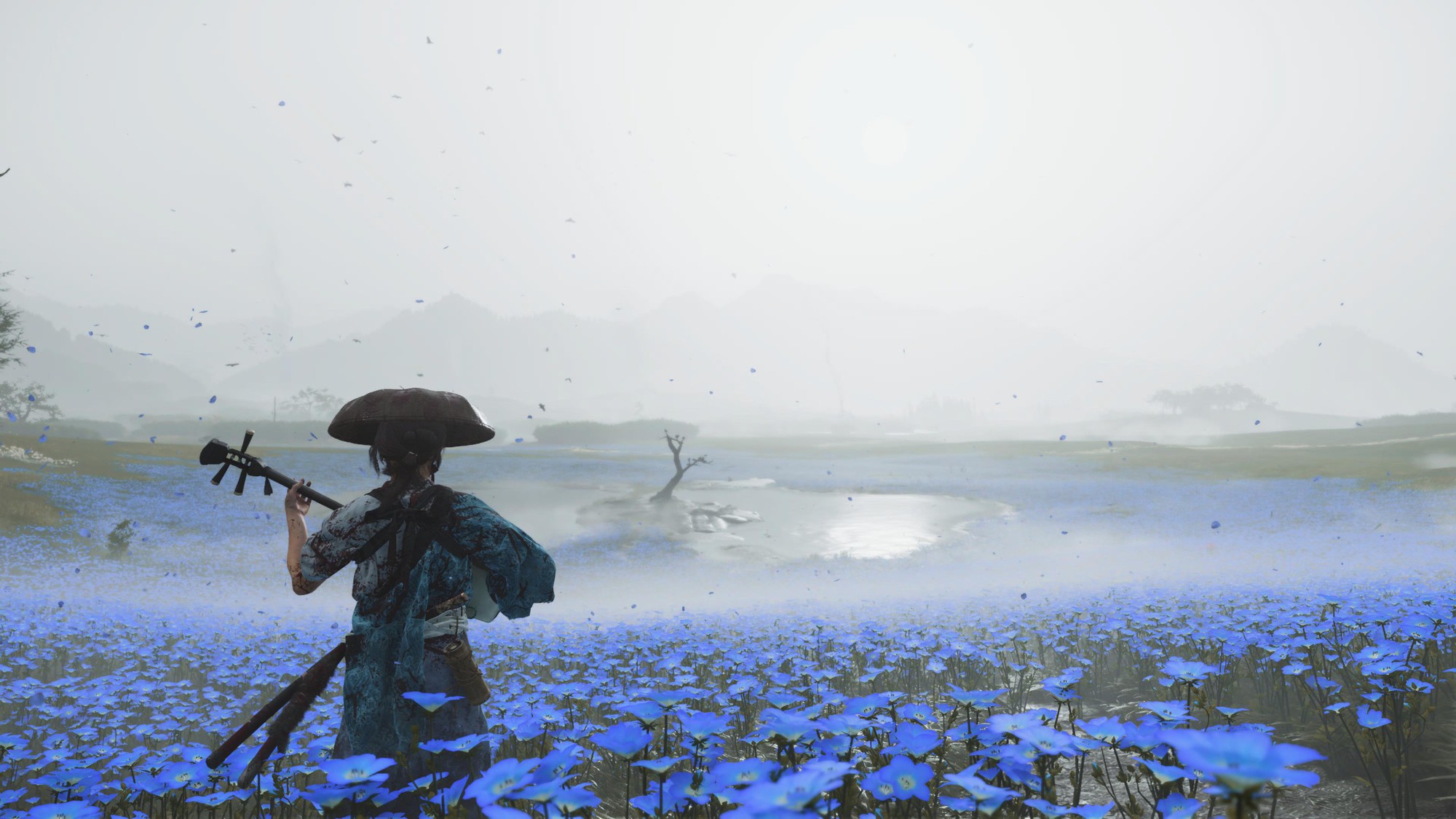 Ghost of Yōtei: Mài giũa công thức cũ để tạo nên một “Kiếm Ma” mới — đã tay hơn, tự do hơn bao giờ hết- Ảnh 19. Ghost of Yōtei: Mài giũa công thức cũ để tạo nên một “Kiếm Ma” mới — đã tay hơn, tự do hơn bao giờ hết- Ảnh 19.