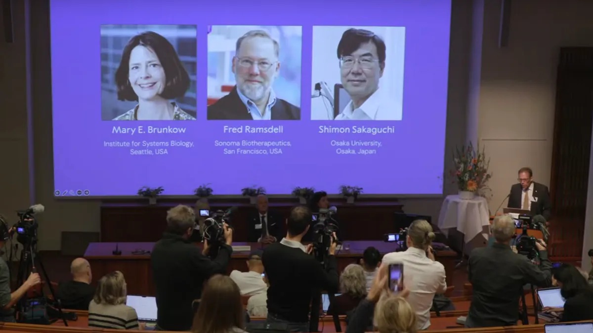 Giải Nobel Y sinh 2025 được trao cho ba nhà khoa học nhờ khám phá cơ chế 'phanh' hệ miễn dịch của con người- Ảnh 2.