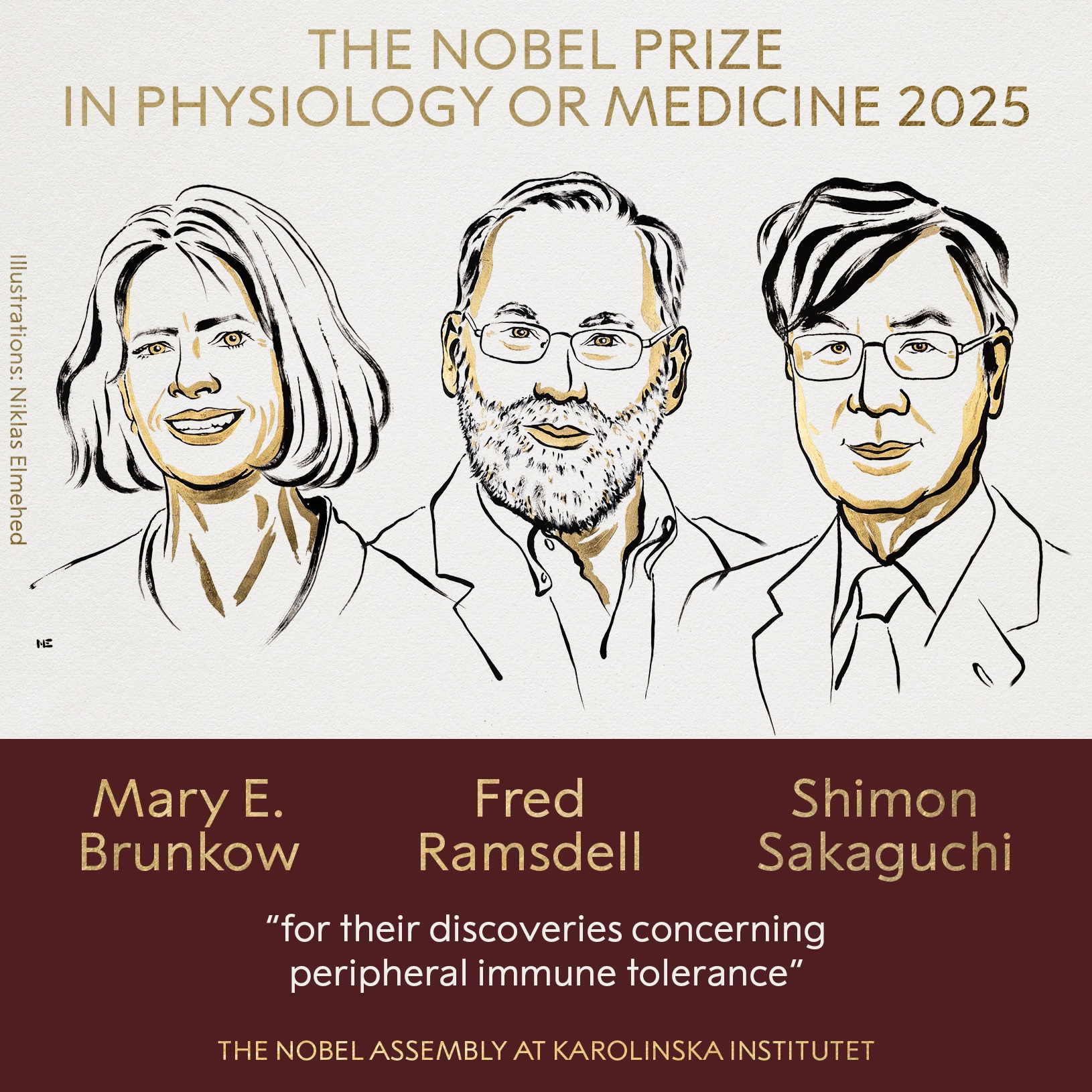Giải Nobel Y sinh 2025 được trao cho ba nhà khoa học nhờ khám phá cơ chế 'phanh' hệ miễn dịch của con người- Ảnh 1.