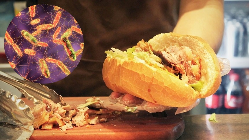 Hiểm họa mang tên Salmonella: Vi khuẩn ẩn mình trong bữa ăn hàng ngày có thể gây tử vong - Ảnh 2.