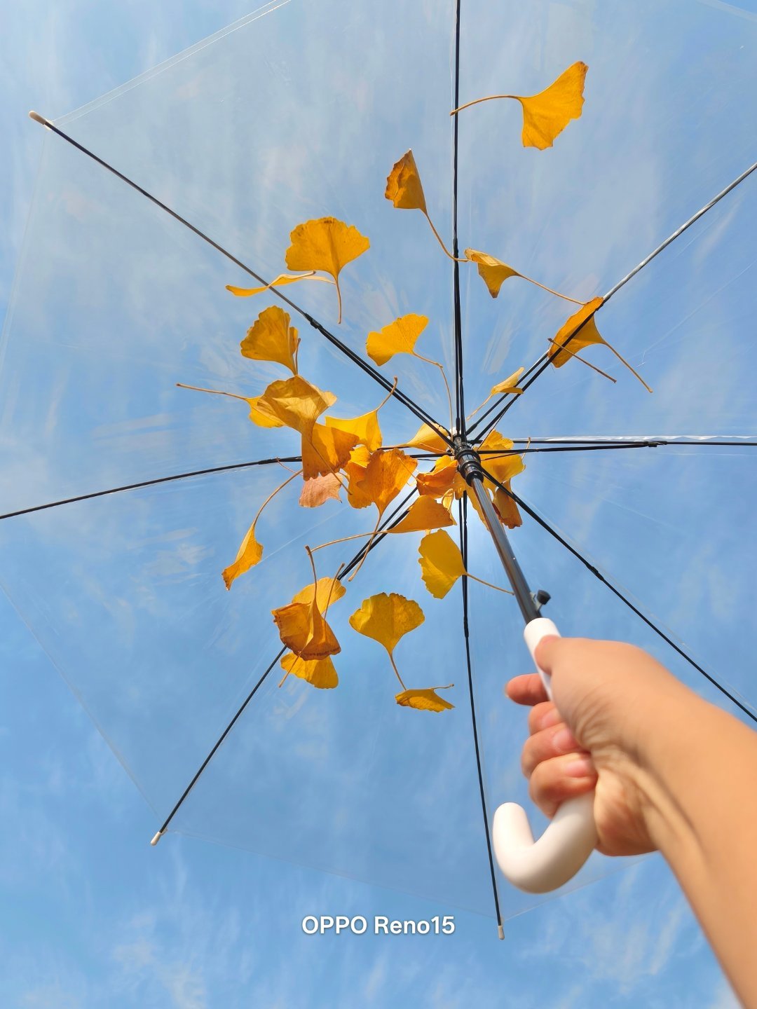 Oppo Reno15 Đẹp Cỡ Này Đây! 007Mqxgnly1I7G970H61Nj30U0140N11 17634489784151603803470